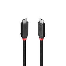 Image of Lindy 37002 2m USB4 240W Type C Cable.