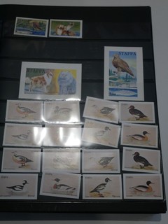 OISEAUX GROS LOT 700 TIMBRES NEUFS DANS UN CLASSEUR. BONNE VALEUR