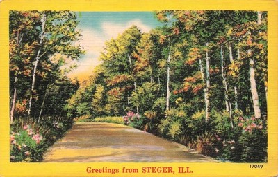 Chicago Steger IL Illinois Cook County Country Road Foliage Vtg Postcard J14