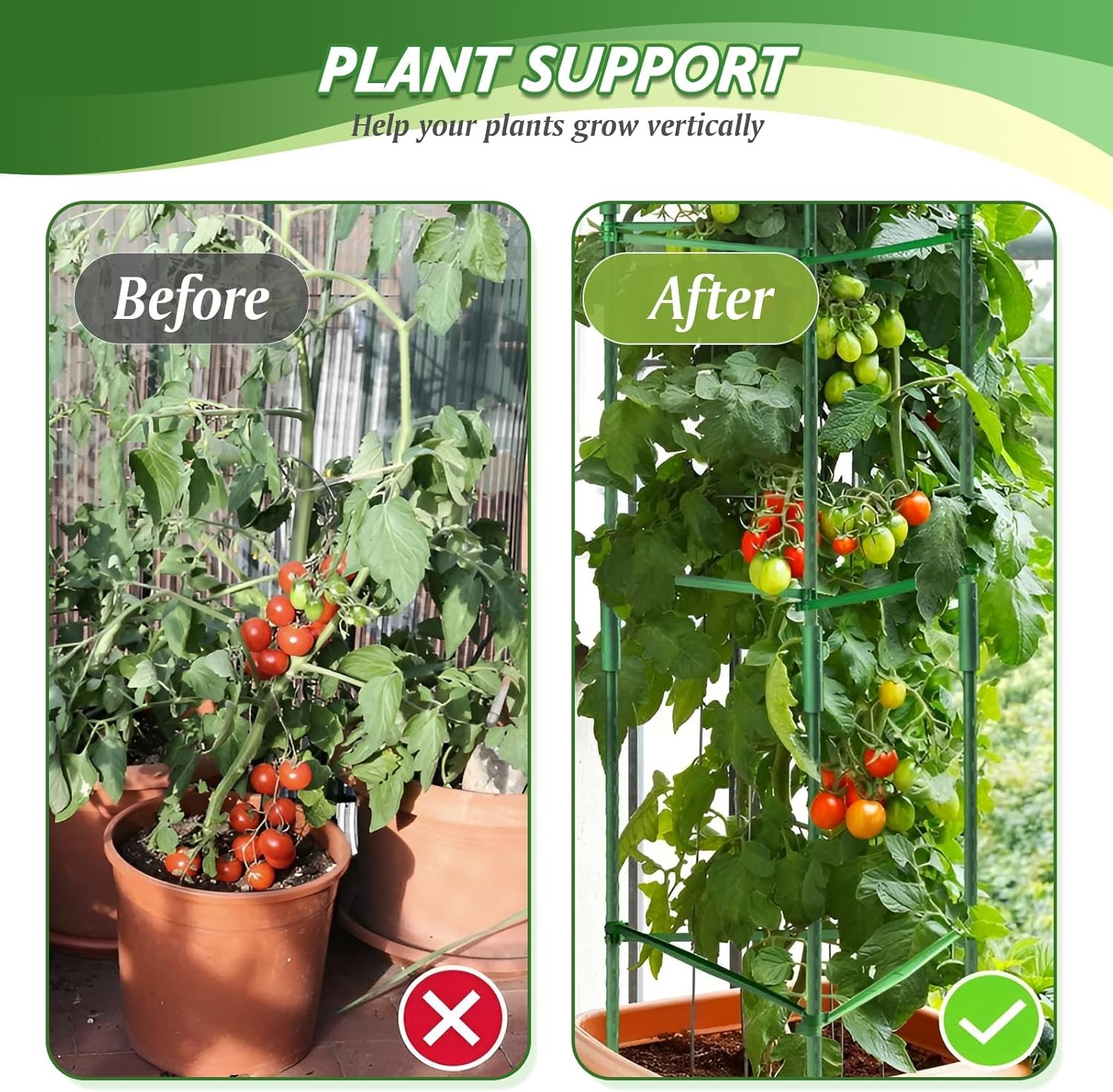 6 Pack Tomato Cage for Garden & Pots, Rust-Resistant Tomato Stakes Plant Cage Tr