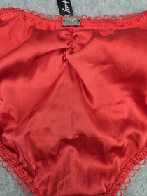 NWT For Love and Lemons Skivvies Red Side Undie Cheeky Lace Detail Panties