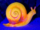 Fenton/Mosser**DANDILION YELLOW IRIDIZED SNAIL FIGURINE**Exclusive...2026