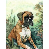 Boxerhund Im Blumenfeld Kunstplakat ExtragroßEr Leinwanddruck
