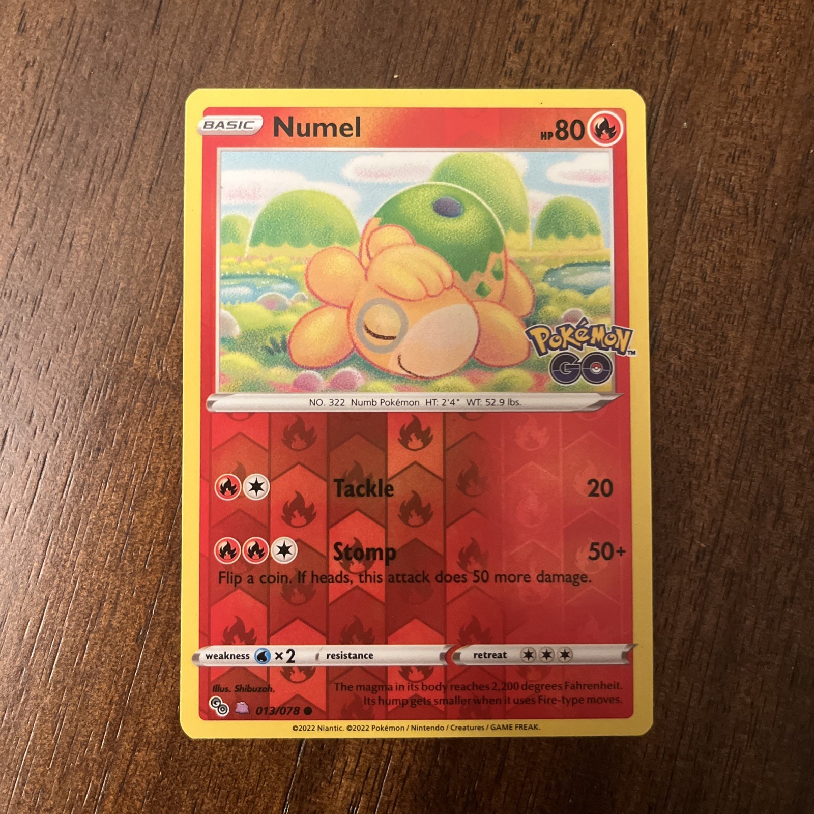 Pokémon Numel (Peelable Ditto) Common Pokemon GO 013/078 LP