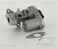 Triscan AGR Ventil 8813 10002 FüR CitroËN Ford Jumper Transit Ducato Fiat Boxer