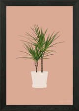Madagascar Dragon Tree Framed Wall Art Poster Canvas Print Picture