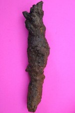 Giant Lizard Poop 5 Million Years Old Genuine Real Fossil Dinosaur Girl COA S63