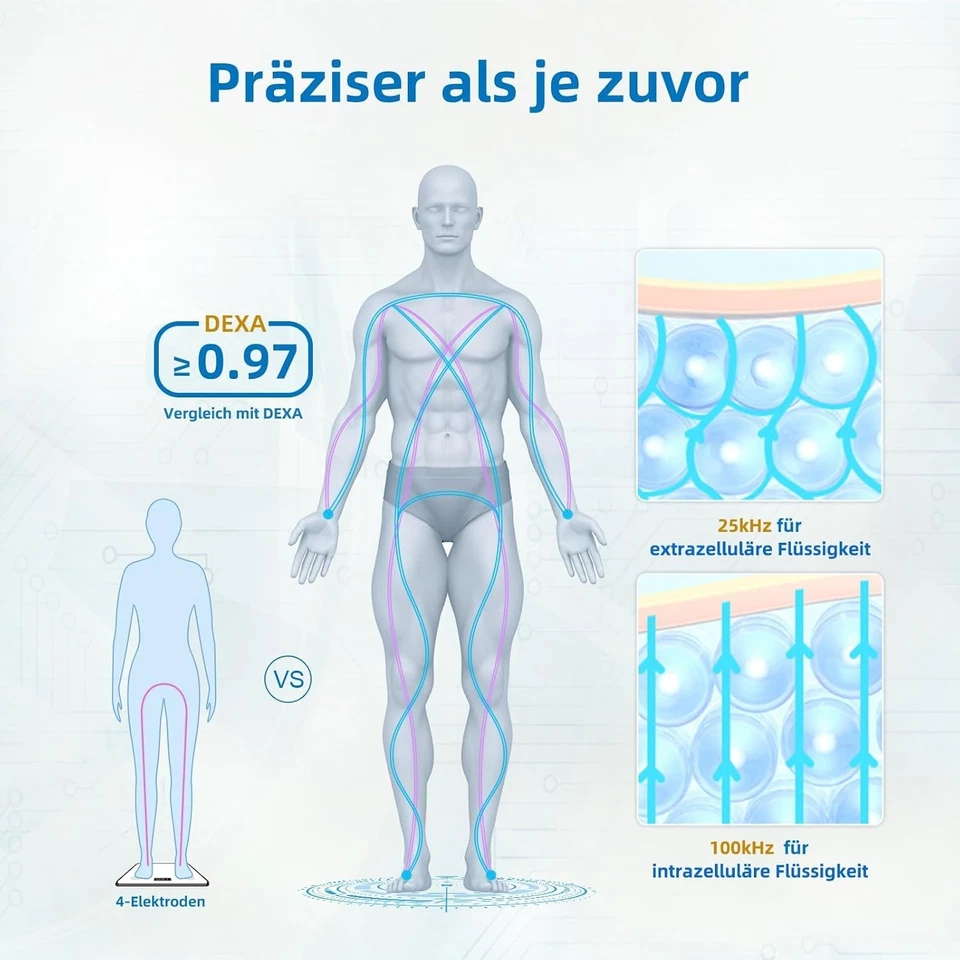 Báscula de grasa corporal Lepulse P1 con sensores de mano, aplicación, grasa corporal/masa muscular, negra - Imagen 4 de 4