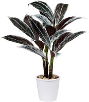 Briful 63CM GroßE KüNstliche Cordyline Fruticosa Pflanze Im WeißEn Topf
