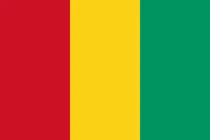 Guinea Flag Self Adhesive Vinyl Sticker
