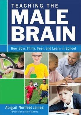 Teaching the Male Brain : How Boys Think, Feel, and Learn in Scho