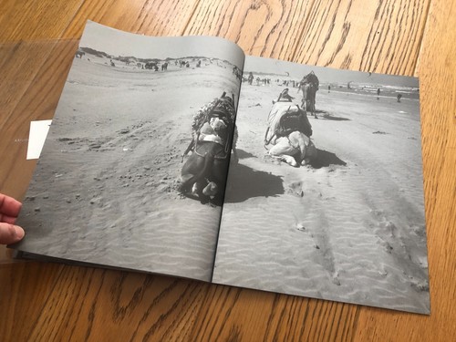 DOMINICK SHELDON ESSAOUIRA I SIGNED LIMITED EDITION PHOTOGRAPHY JOURNAL/BOOK - Picture 13 of 19