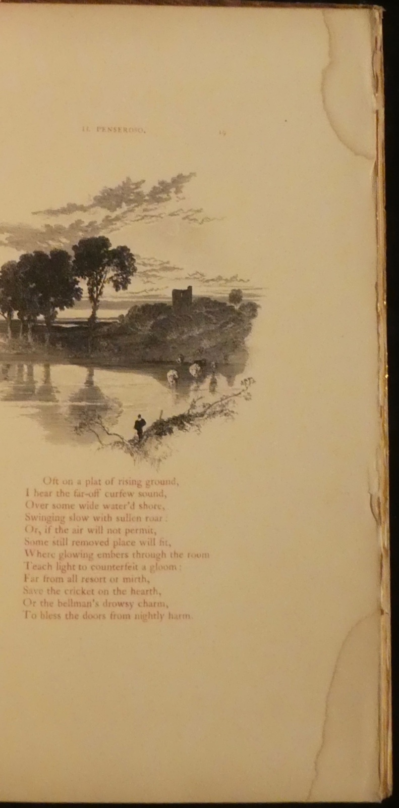 Picture 7 of 9