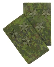 Original false shoulder straps for VKPO uniforms. Officer's rank of "Colonel".