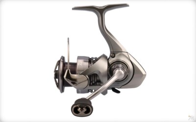 DAIWA Spinnrolle Exceler LT Modell 2024 Gamma Komplett Grau