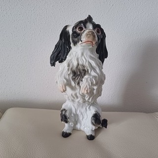 Meissen 1.Wahl Rare Seltene 25cm Große Figur Bolognese Hund dog antik 19. Jh