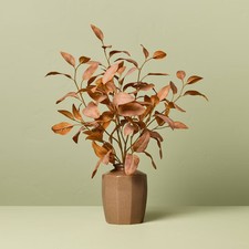 22" Rusted Eucalyptus Artificial Fall Arrangement - Hearth  Hand with Magnolia