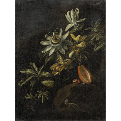 Van Den Broeck Stillleben Leidenschaft Blumen Leinwand Wandbild Kunstdruck Poster