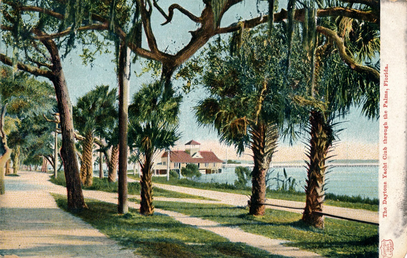 THE DAYTONA YACHT CLUB THROUGH THE PALMS, FLORIDA. FL. DOCK/PILINGS. UDB.