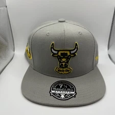 Mitchell & Ness Chicago Bulls HWC 1998 NBA Finals Fitted Hat Grey Size 7 1/4