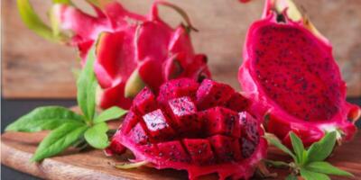 Pianta Viva Di Frutto Del Drago (Pitaya Hylocereus) – In Vaso 4″, Polpa Bianca, 2 Anni