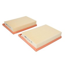 ? MANN-FILTER AIR FILTER C 25 110-2 NEU DE STOCK