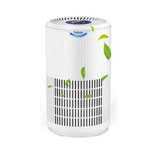 Tailulu D09 Air Purifier &ndash; H13 HEPA Cleaner for Smoke, Dust, Pollen, Large Room
