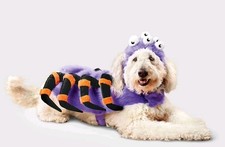 Nwt Boots  Barkley Spider Costume Dog and Cat Full Body Costume Size Med 