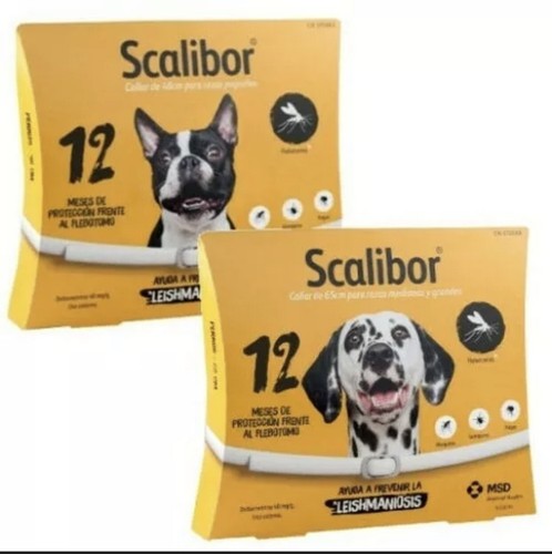 Collar 65 CM CAD 02/23 eBay