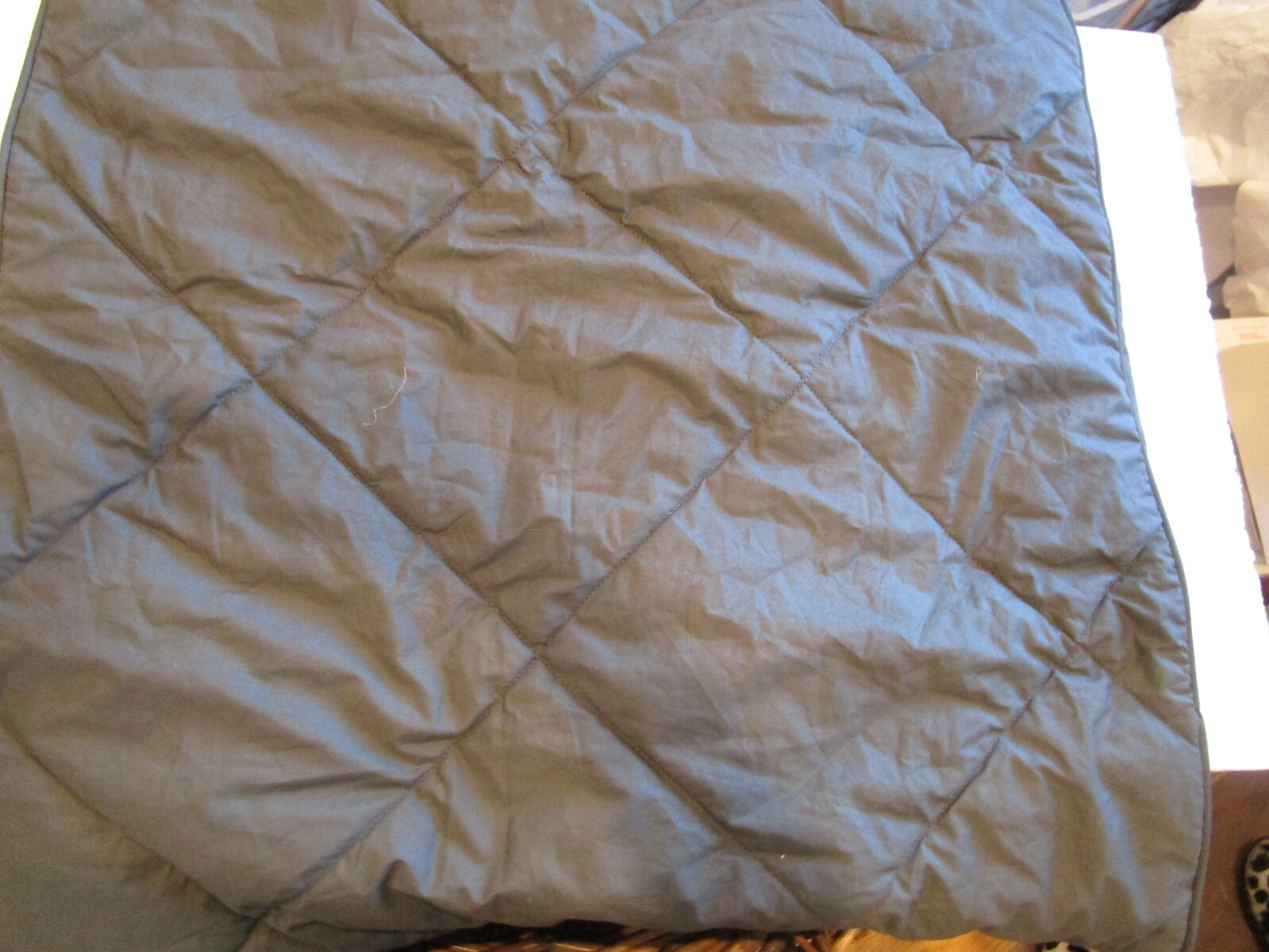 Pottery Barn Teen Solid Quilted Charcoal Comforter Euro Sham