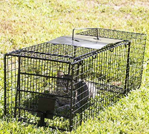 Folding 32 Inch Live Humane Animal Trap Safe Traps for All Animals