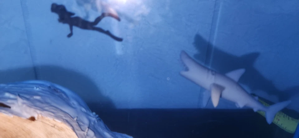 JAWS Epoxy Resin/wood Shark and Diver , Ocean Handmade Home Decor.  - Image 4 of 4