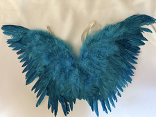 Teal Feather Halloween Costume Fairy Angel Wings for Kids Boys /Girl -24" x 14".