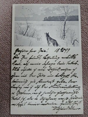 SELTEN  Mailick Ak  Wolf schaut den Vögeln am Himmel nach   Verlag S. Dyck 1899