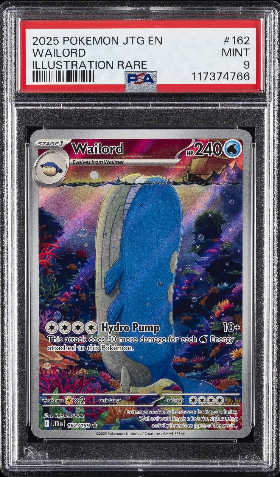 Wailord #162