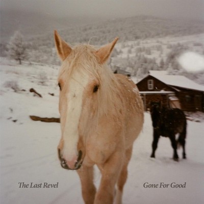 The Last Revel Gone for Good (CD) Album
