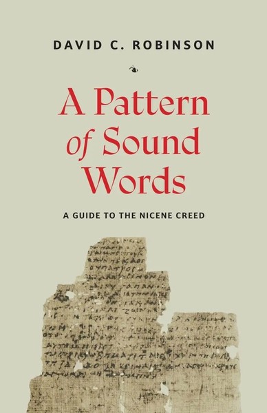 David C. Robinson | A Pattern Of Sound Words | Taschenbuch | Englisch (2025)-image