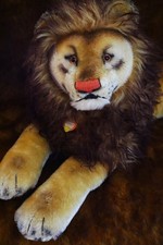 Large Steiff Leo Lion Cat, ALL IDs, 1960s, n/mint