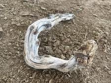 Natural Driftwood for Fish  Reptile Aquariums, Crafts, Landscapes, Decor 3x11 5
