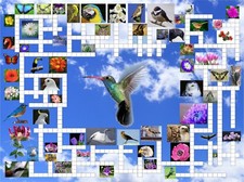 Crossword - 2 in 1 - jigsaw puzzle 500 pieces brand new Sunsout