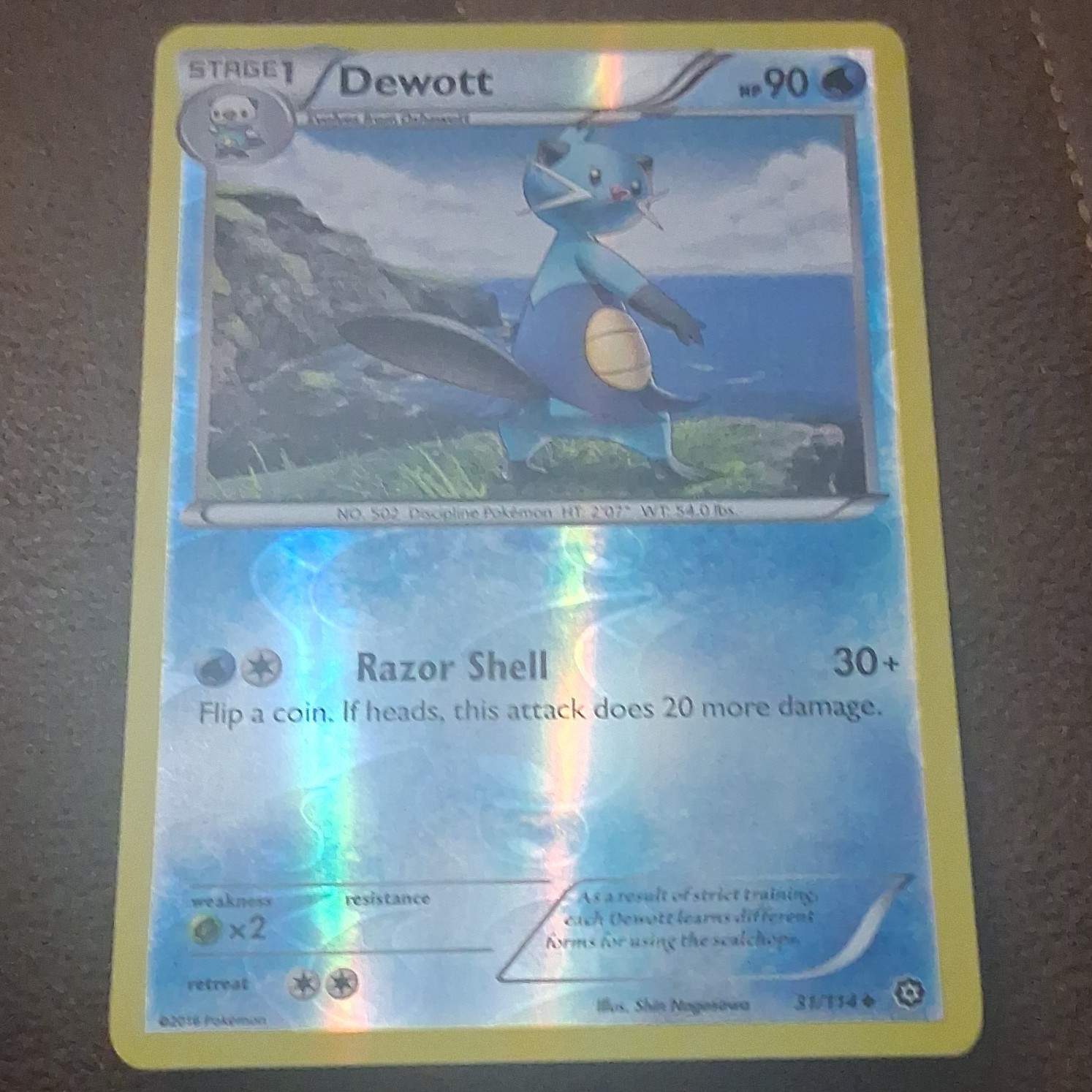 Nintendo Pokemon TCG Dewott 90 HP 31/114 Reverse Holo Uncommon Steam Siege