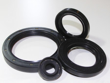 16 - 18mm TC Double Lip Rubber Rotary Shaft Oil Seal with Spring CAPT2011 