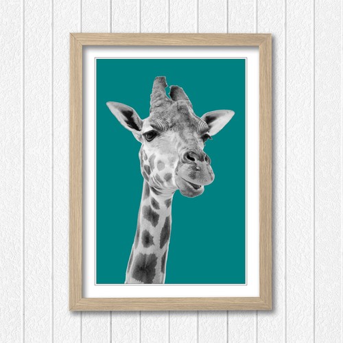 GIRAFFE BLACK AND WHITE TEAL FRAMED POSTER WALL ART PRINT ARTWORK DESIGN - Picture 13 of 14