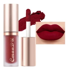 evpct 1Pcs Dark Sexy Red Matte Liquid Lipstick Lip Gloss Glossy Set for Black...