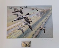 1991 United Kingdom Duck Stamp Print and Stamp, Artist Rodger McPhail 5300/9000