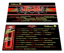 Williams F-14 Tomcat Pinball Custom Apron Instruction Cards