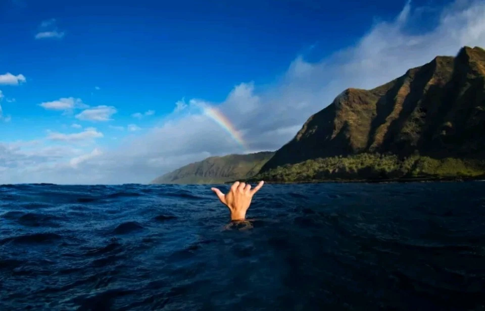 Na Leo O Ke Kula Ni'ihau O Kekaha CD (2000) BRAND NEW! 🌺🌺🌺🌺🎶🎵🎶🎵🤙 Foto 4 de 4