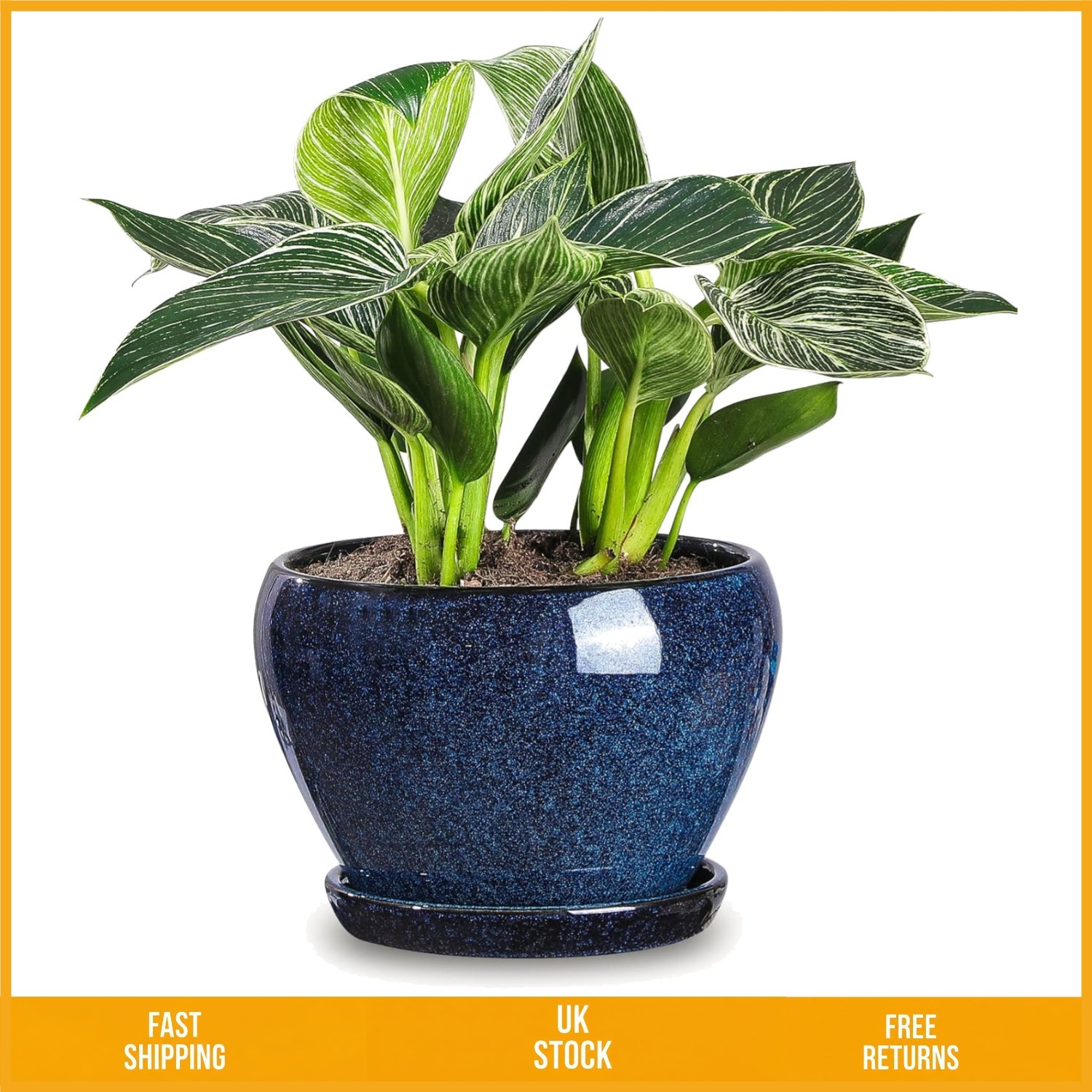 Elegant Glazed Blue Ceramic Indoor Planter Pot with Drainage Saucer 6.5 Inch