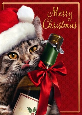 Funny CHRISTMAS Card, Santa Cat Drank All The Red Wine by Avanti + Envelope