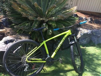 specialized gumtree